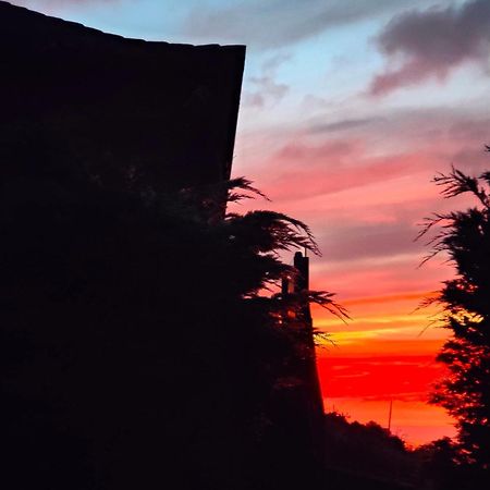 Casa Rural Quinta Los Naranjos Tigalate Екстер'єр фото