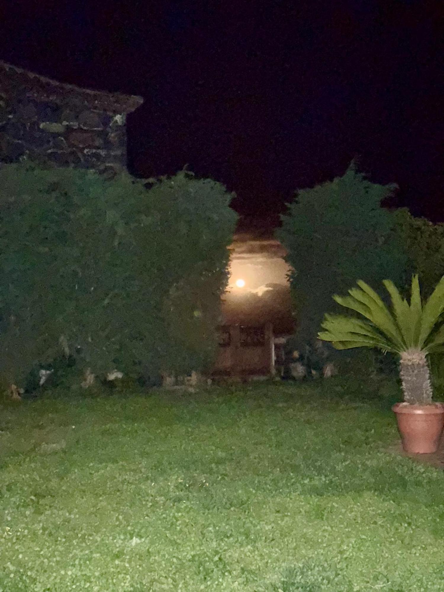 Casa Rural Quinta Los Naranjos Tigalate Екстер'єр фото