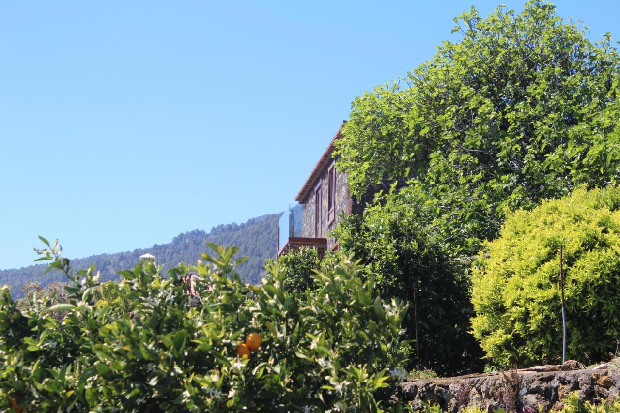 Casa Rural Quinta Los Naranjos Tigalate Екстер'єр фото